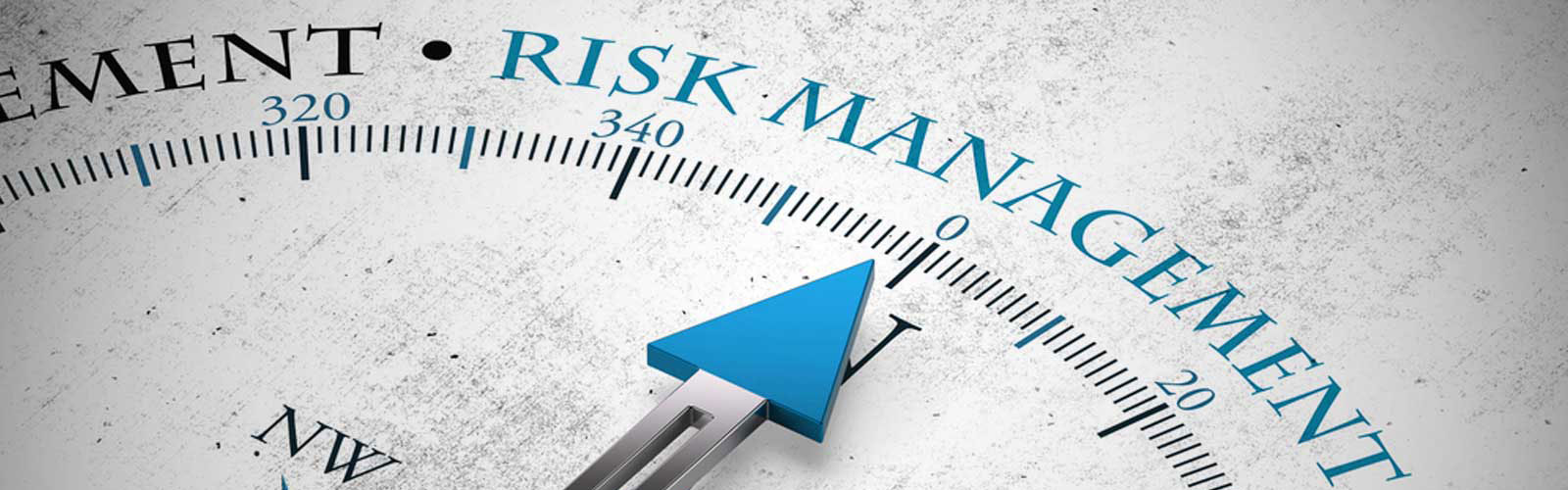 Risk_Veritas_Site_Banner__Principal_Risk_Management